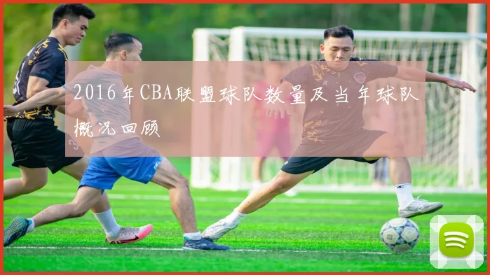 2016年CBA联盟球队数量及当年球队概况回顾