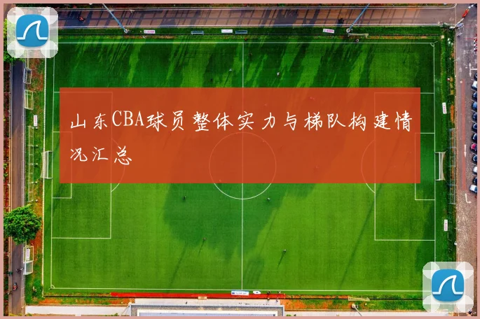 山东CBA球员整体实力与梯队构建情况汇总