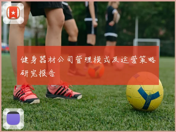 健身器材公司管理模式及运营策略研究报告