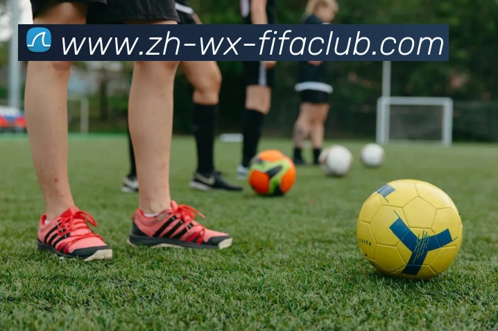 世界杯直播平台生态图