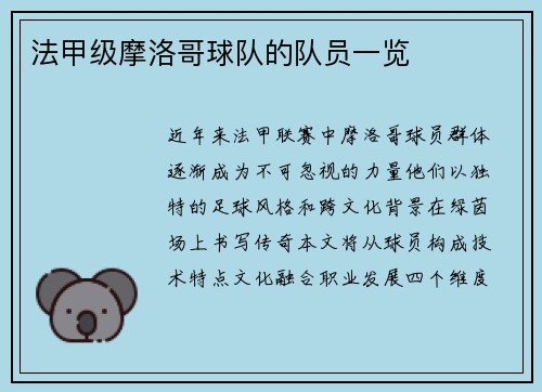 法甲级摩洛哥球队的队员一览