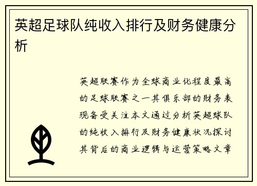英超足球队纯收入排行及财务健康分析