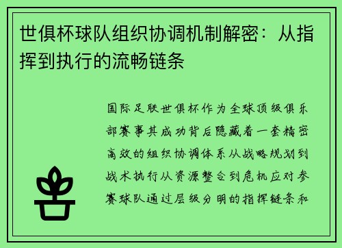 世俱杯球队组织协调机制解密：从指挥到执行的流畅链条